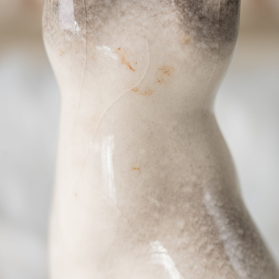 【Winstanley Cat ウィンスタンレイ キャット】しなやかなボディにブルーアイが美しい サイアミーズ シャム猫 /25J