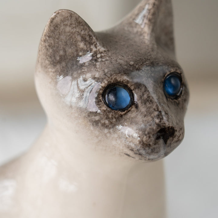 【Winstanley Cat ウィンスタンレイ キャット】しなやかなボディにブルーアイが美しい サイアミーズ シャム猫 /25J