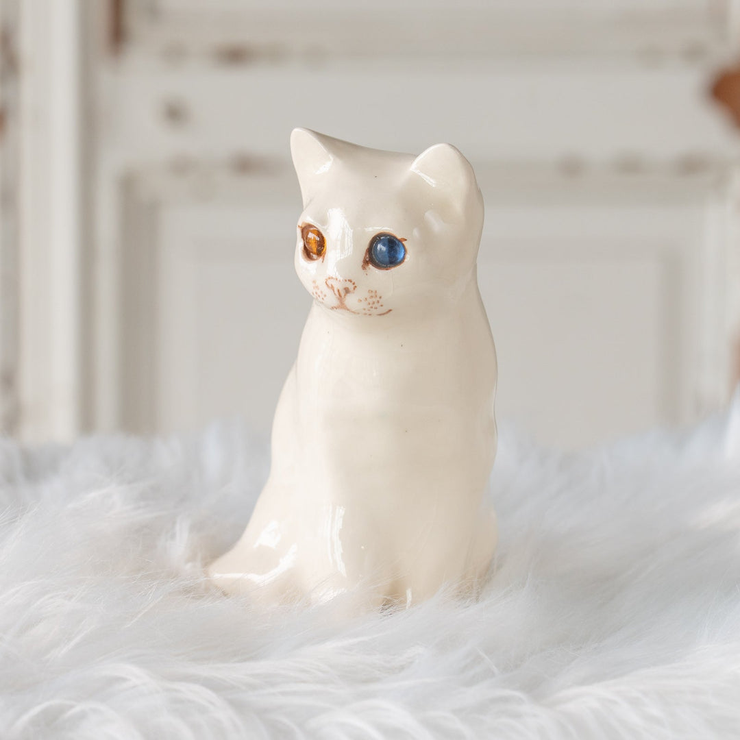 【Winstanley Cat ウィンスタンレイ キャット】きりっとした瞳でこちらを見つめる オッドアイ スノーウィー 白猫 /25J