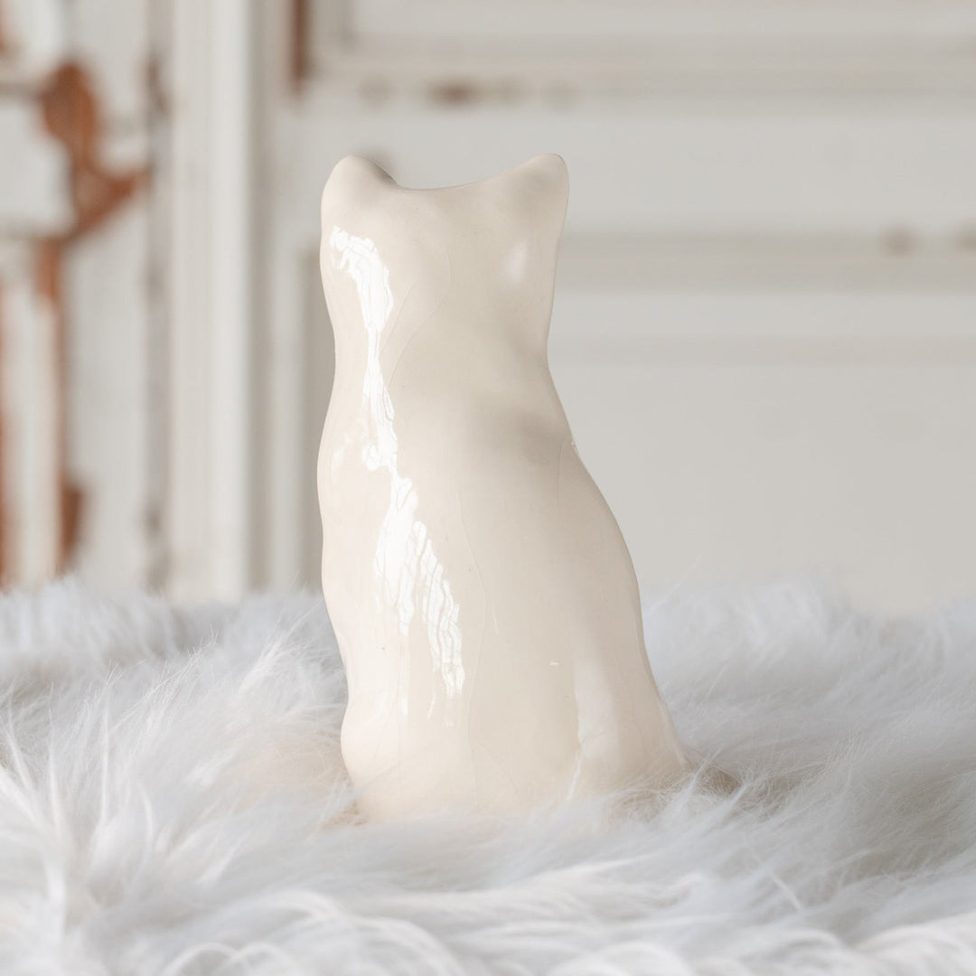 【Winstanley Cat ウィンスタンレイ キャット】きりっとした瞳でこちらを見つめる オッドアイ スノーウィー 白猫 /25J