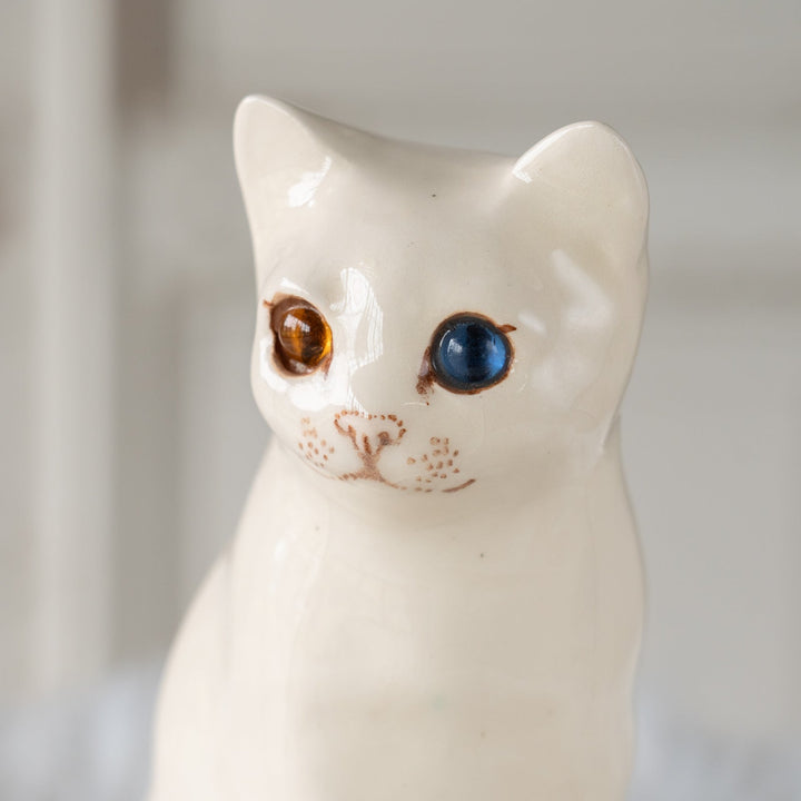【Winstanley Cat ウィンスタンレイ キャット】きりっとした瞳でこちらを見つめる オッドアイ スノーウィー 白猫 /25J