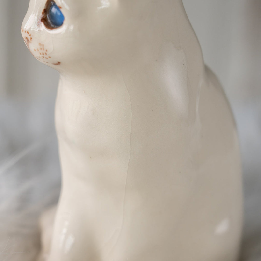 【Winstanley Cat ウィンスタンレイ キャット】きりっとした瞳でこちらを見つめる オッドアイ スノーウィー 白猫 /25J