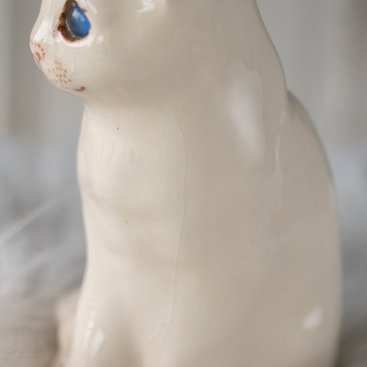 【Winstanley Cat ウィンスタンレイ キャット】きりっとした瞳でこちらを見つめる オッドアイ スノーウィー 白猫 /25J