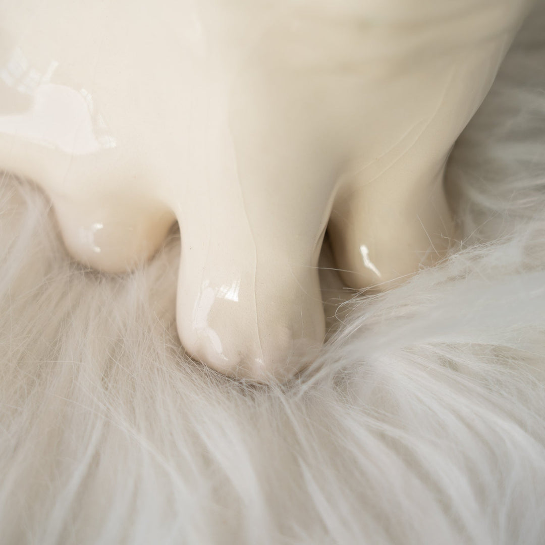 【Winstanley Cat ウィンスタンレイ キャット】きりっとした瞳でこちらを見つめる オッドアイ スノーウィー 白猫 /25J