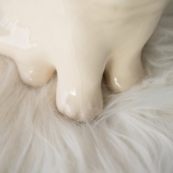 【Winstanley Cat ウィンスタンレイ キャット】きりっとした瞳でこちらを見つめる オッドアイ スノーウィー 白猫 /25J