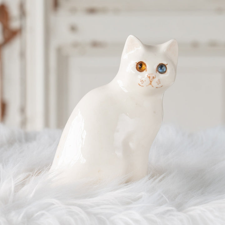 【Winstanley Cat ウィンスタンレイ キャット】しなやかな曲線のフォルムがエレガント オッドアイ スノーウィー 白猫 /25J