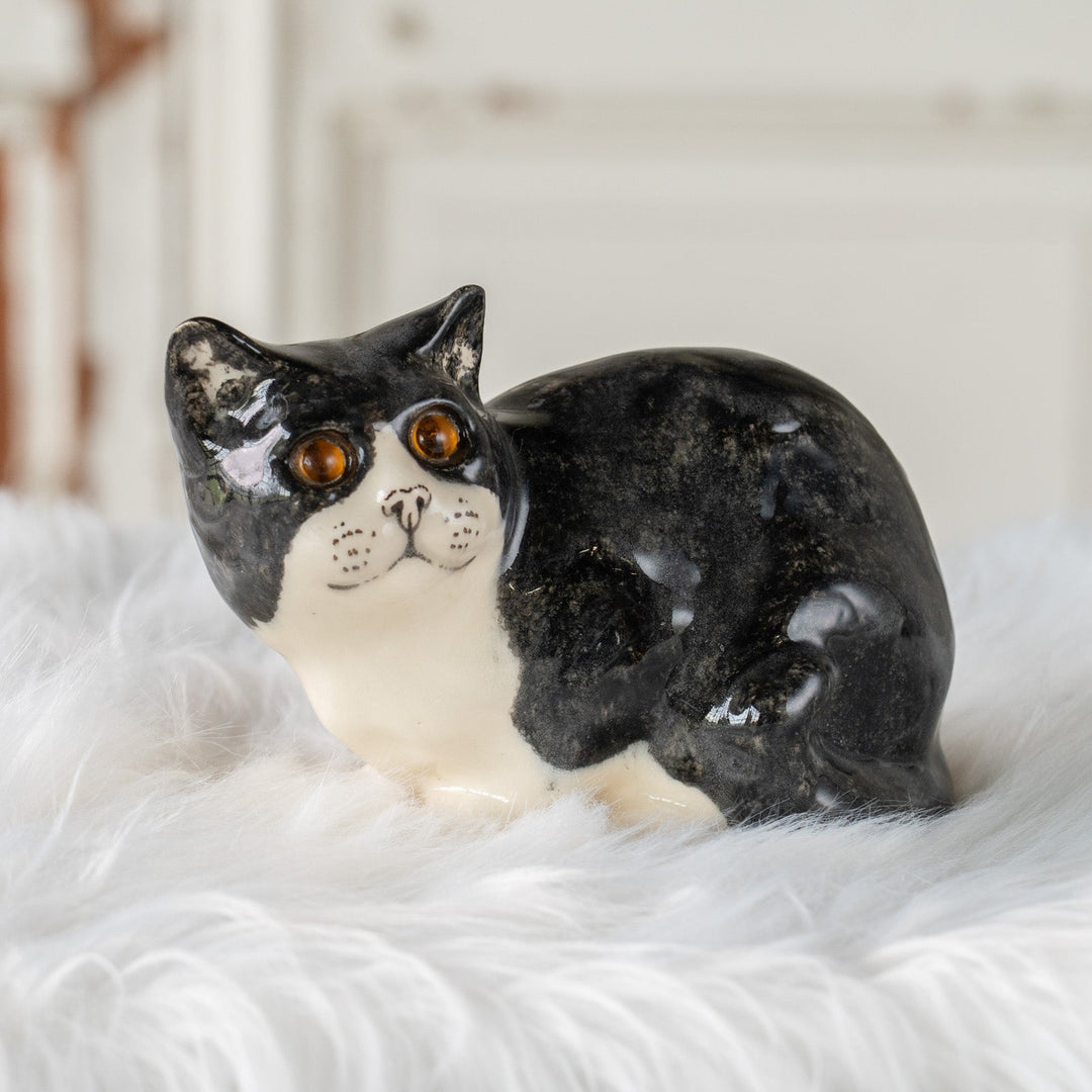 【Winstanley Cat ウィンスタンレイ キャット】愛嬌のある顔立ちが目を惹く タキシード 白黒猫 /25J