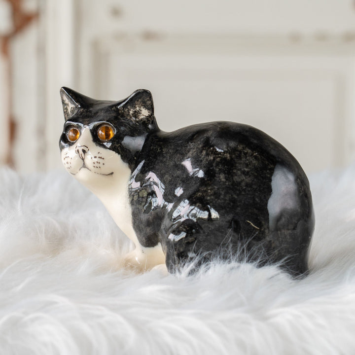 【Winstanley Cat ウィンスタンレイ キャット】愛嬌のある顔立ちが目を惹く タキシード 白黒猫 /25J