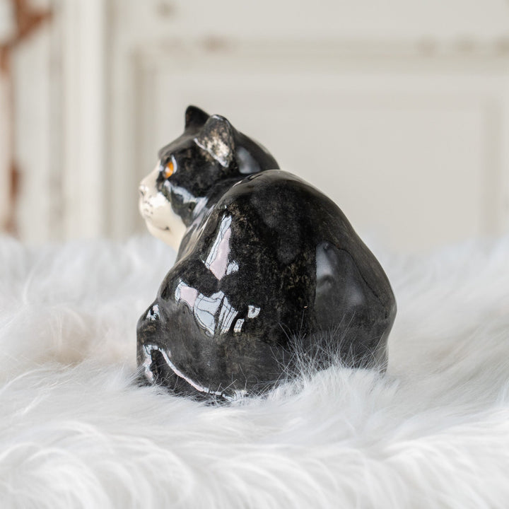 【Winstanley Cat ウィンスタンレイ キャット】愛嬌のある顔立ちが目を惹く タキシード 白黒猫 /25J