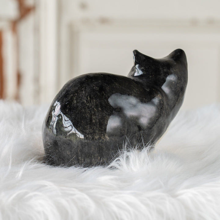 【Winstanley Cat ウィンスタンレイ キャット】愛嬌のある顔立ちが目を惹く タキシード 白黒猫 /25J