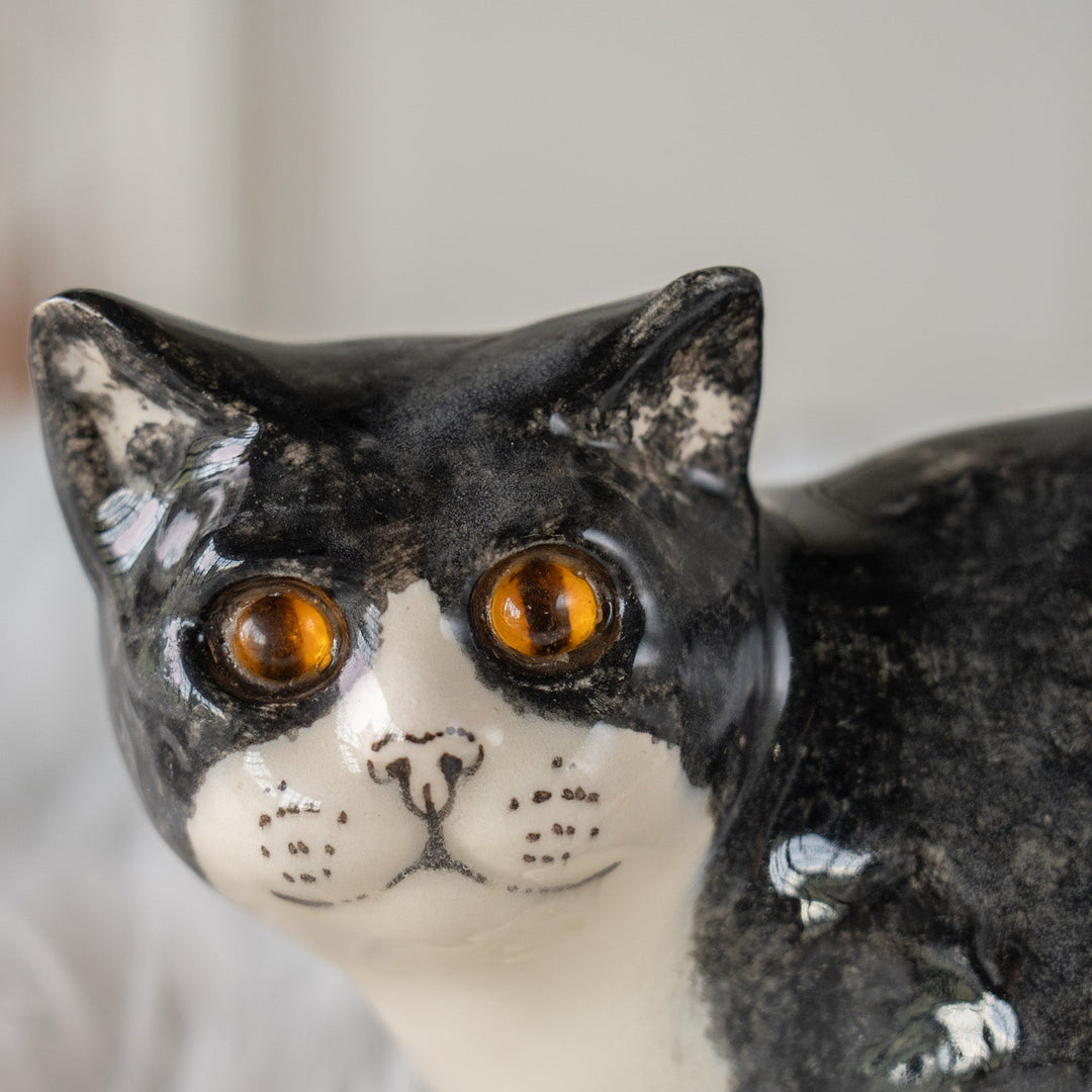 【Winstanley Cat ウィンスタンレイ キャット】愛嬌のある顔立ちが目を惹く タキシード 白黒猫 /25J