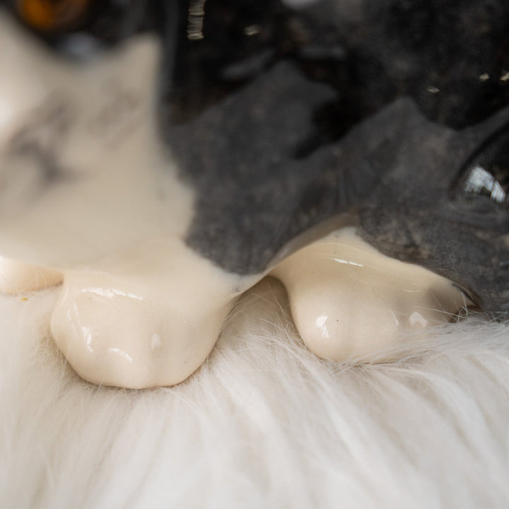 【Winstanley Cat ウィンスタンレイ キャット】愛嬌のある顔立ちが目を惹く タキシード 白黒猫 /25J