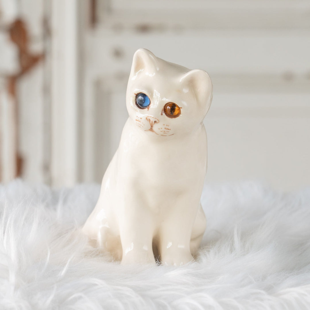 【Winstanley Cat ウィンスタンレイ キャット】こちらを警戒してる表情がリアル オッドアイ スノーウィー 白猫 /25J