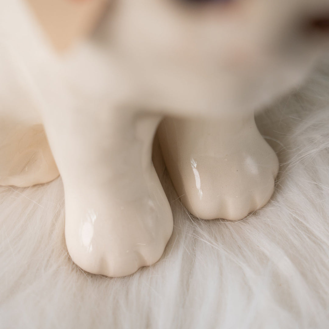 【Winstanley Cat ウィンスタンレイ キャット】こちらを警戒してる表情がリアル オッドアイ スノーウィー 白猫 /25J