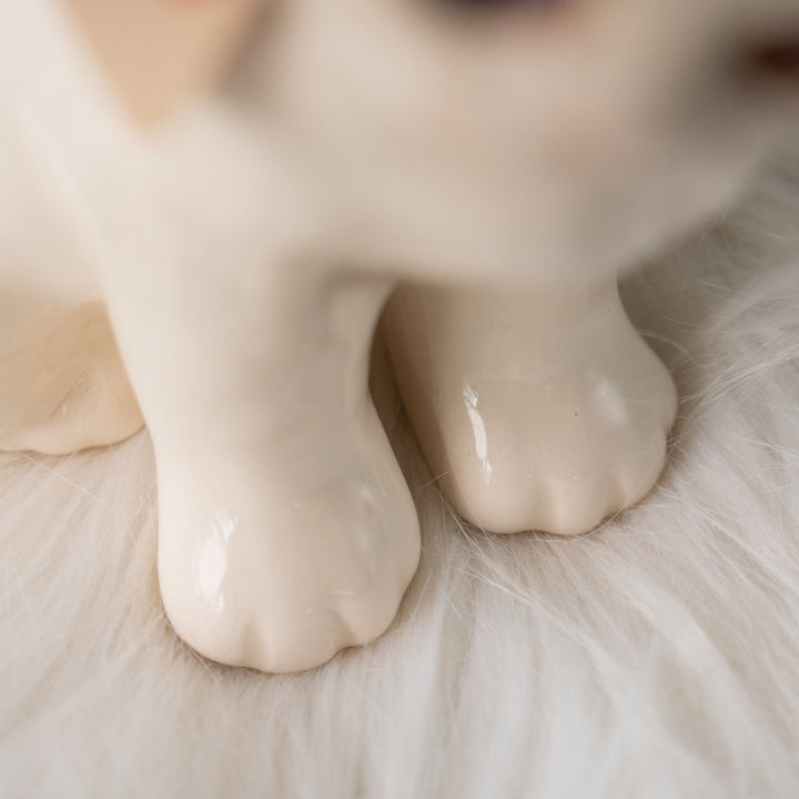 【Winstanley Cat ウィンスタンレイ キャット】こちらを警戒してる表情がリアル オッドアイ スノーウィー 白猫 /25J