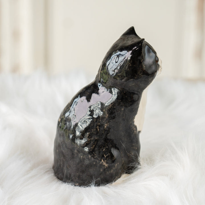 【Winstanley Cat ウィンスタンレイ キャット】ぽってりしたフォルムが魅力的 タキシード 白黒猫 /25J