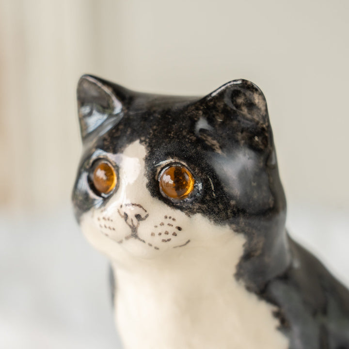 【Winstanley Cat ウィンスタンレイ キャット】ぽってりしたフォルムが魅力的 タキシード 白黒猫 /25J