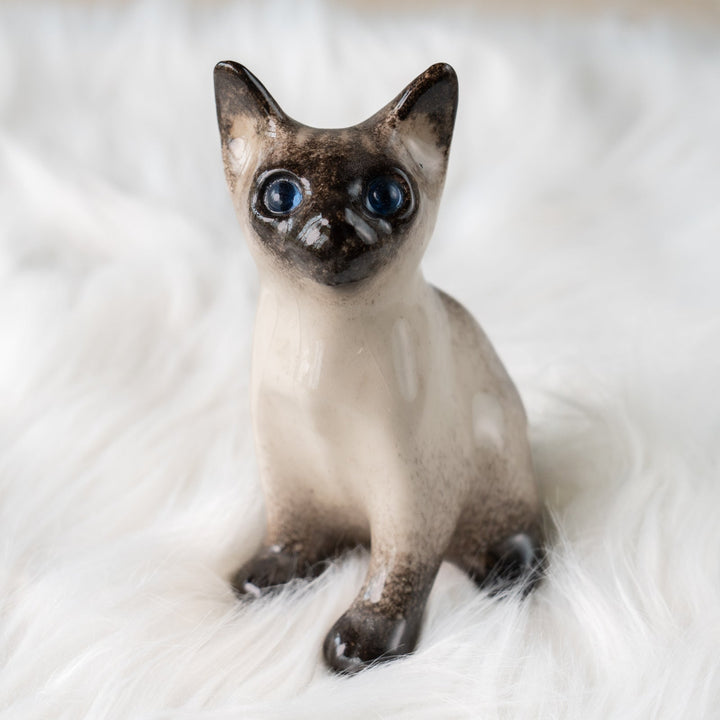 【Winstanley Cat ウィンスタンレイ キャット】細身でしなやかなボディが目を惹く サイアミーズ シャム猫 /25J