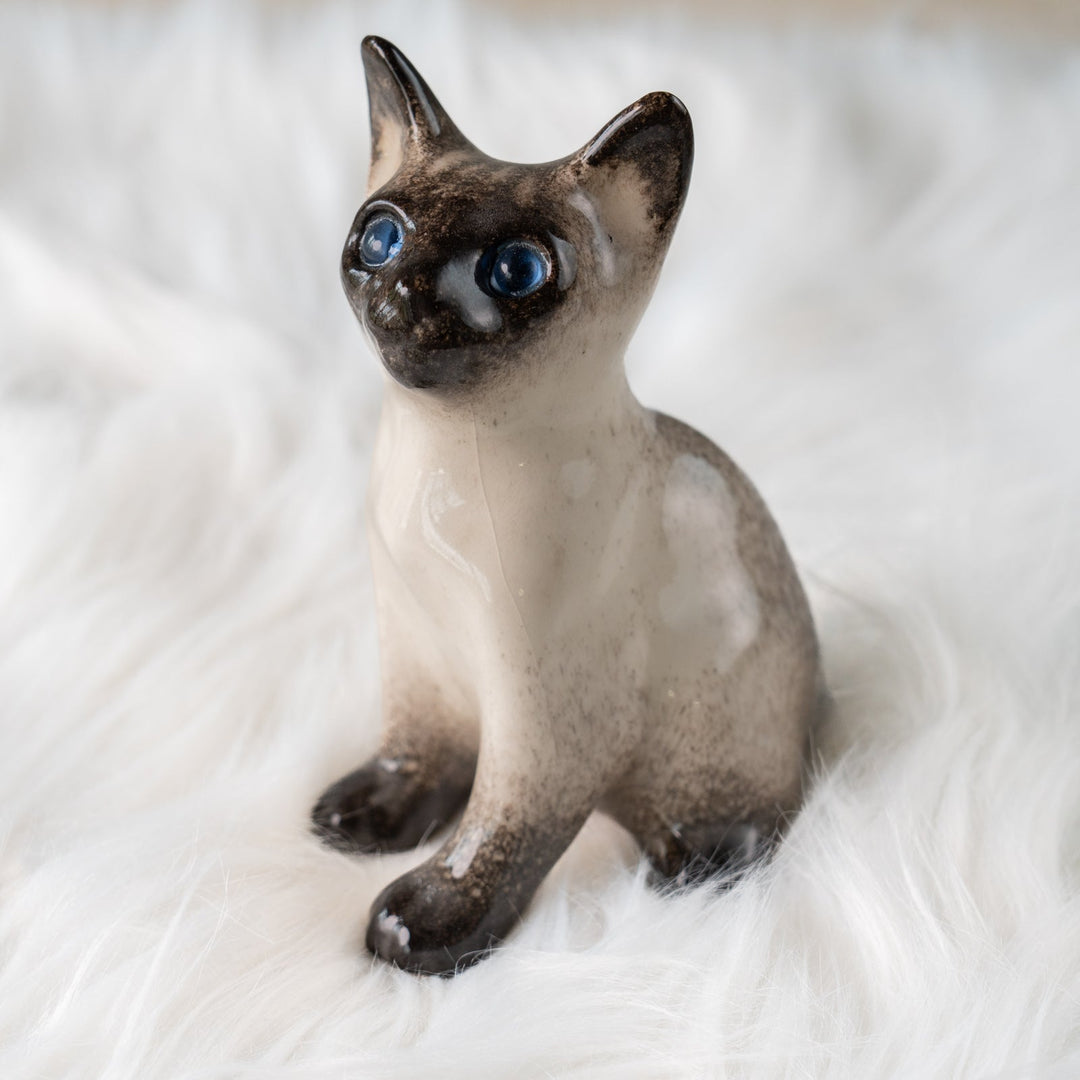 【Winstanley Cat ウィンスタンレイ キャット】細身でしなやかなボディが目を惹く サイアミーズ シャム猫 /25J