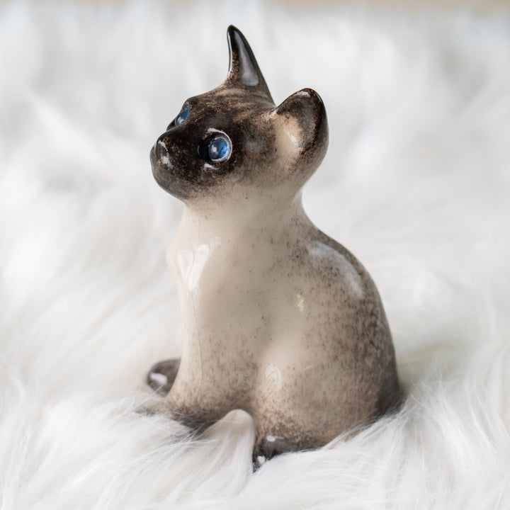 【Winstanley Cat ウィンスタンレイ キャット】細身でしなやかなボディが目を惹く サイアミーズ シャム猫 /25J