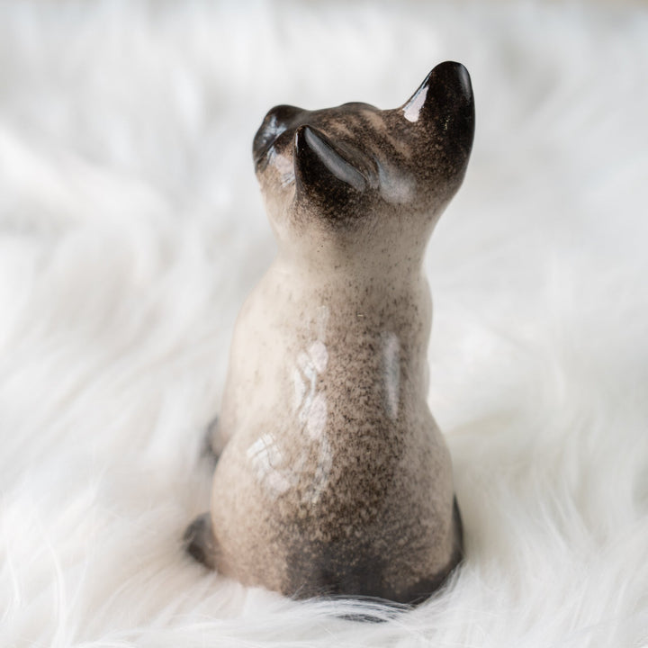 【Winstanley Cat ウィンスタンレイ キャット】細身でしなやかなボディが目を惹く サイアミーズ シャム猫 /25J