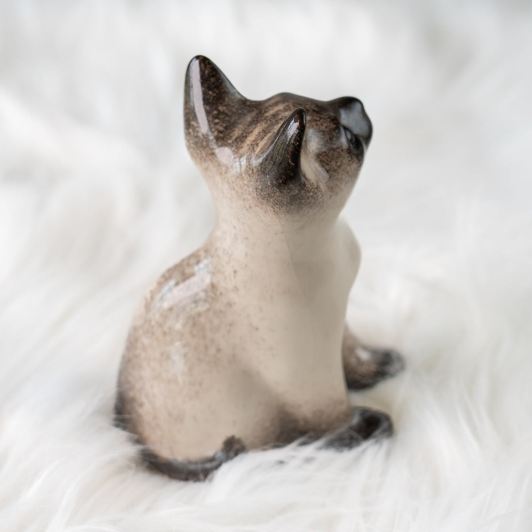 【Winstanley Cat ウィンスタンレイ キャット】細身でしなやかなボディが目を惹く サイアミーズ シャム猫 /25J