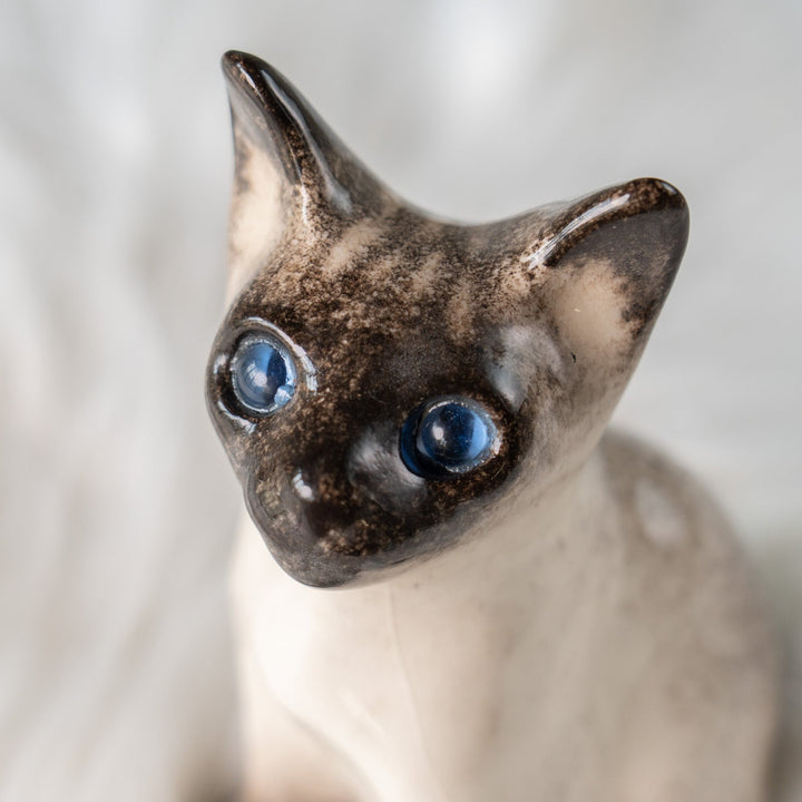 【Winstanley Cat ウィンスタンレイ キャット】細身でしなやかなボディが目を惹く サイアミーズ シャム猫 /25J