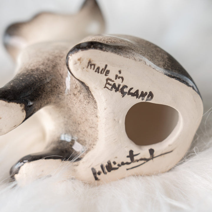 【Winstanley Cat ウィンスタンレイ キャット】細身でしなやかなボディが目を惹く サイアミーズ シャム猫 /25J