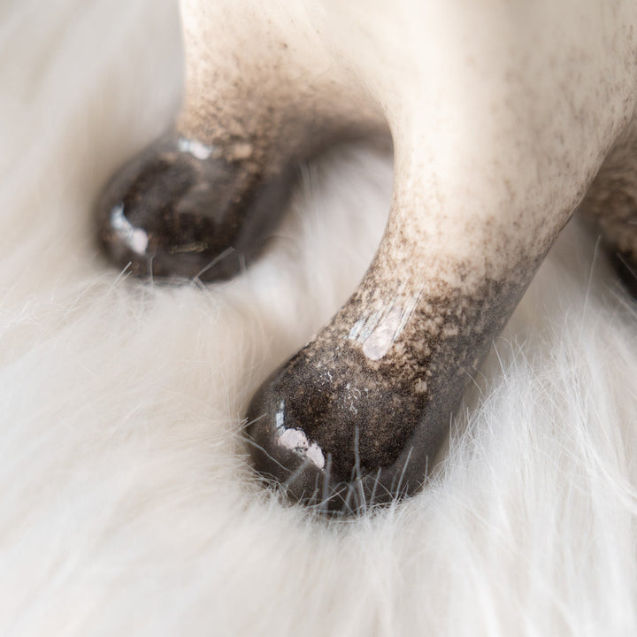 【Winstanley Cat ウィンスタンレイ キャット】細身でしなやかなボディが目を惹く サイアミーズ シャム猫 /25J