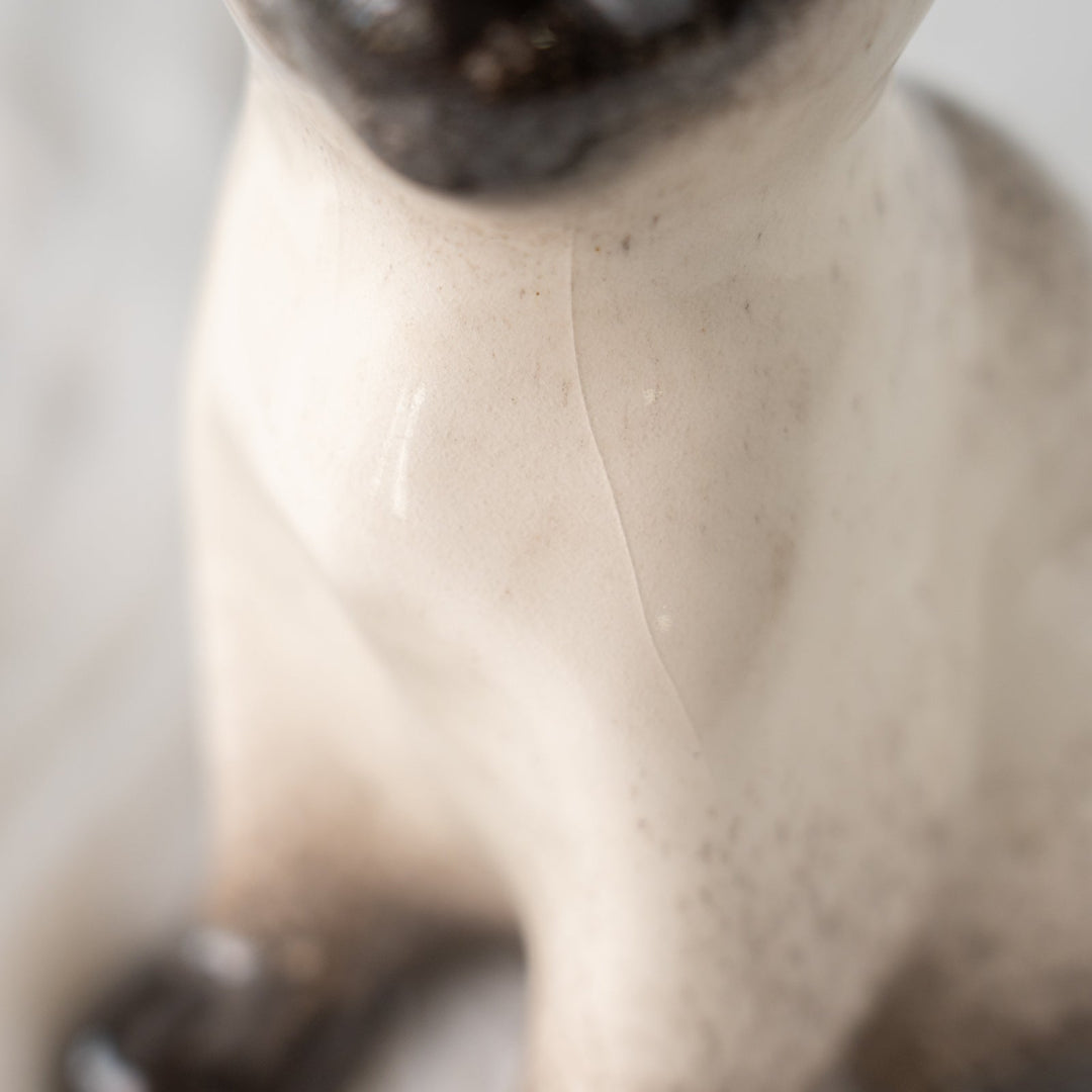 【Winstanley Cat ウィンスタンレイ キャット】細身でしなやかなボディが目を惹く サイアミーズ シャム猫 /25J