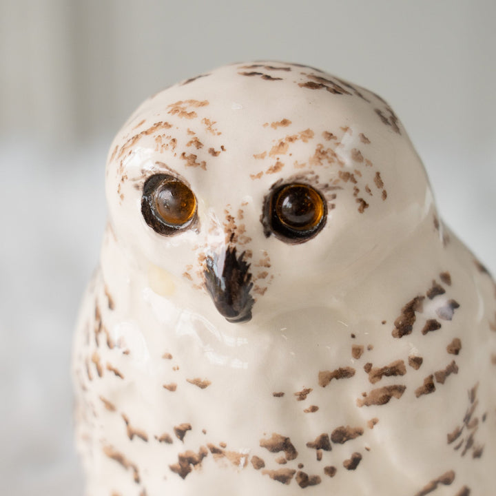 【Winstanley Owl ウィンスタンレイ オウル】白くて丸い可愛らしいフォルム フクロウ /25J