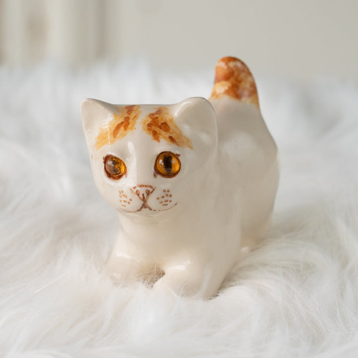 【Winstanley Cat ウィンスタンレイ キャット】クリームパンの様な手が愛らしい ジンジャー 茶トラ猫 /25L