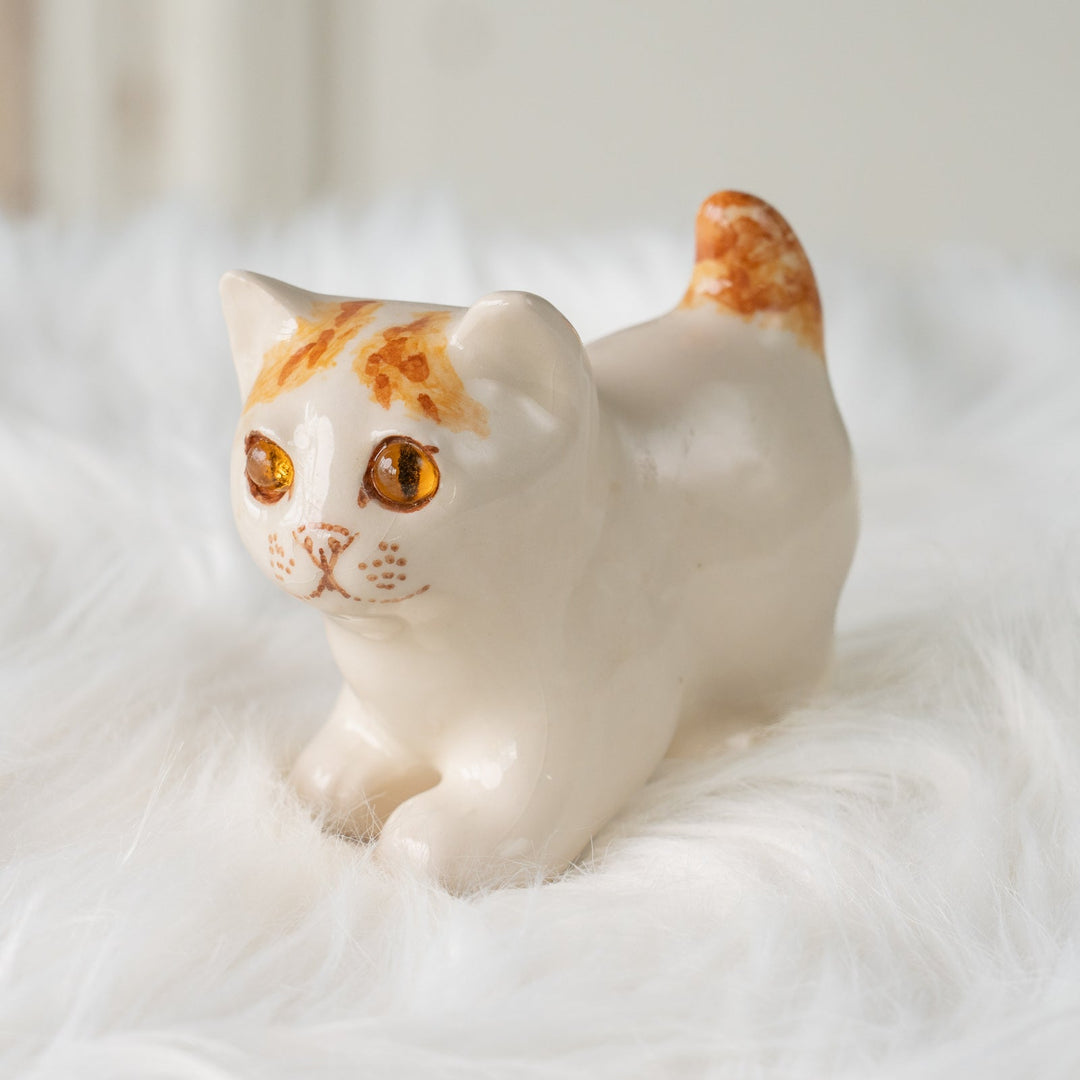 【Winstanley Cat ウィンスタンレイ キャット】クリームパンの様な手が愛らしい ジンジャー 茶トラ猫 /25L