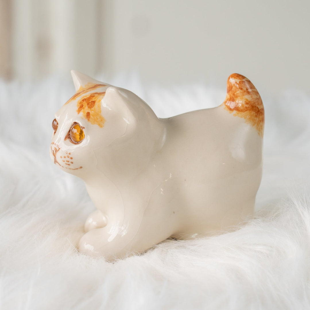 【Winstanley Cat ウィンスタンレイ キャット】クリームパンの様な手が愛らしい ジンジャー 茶トラ猫 /25L