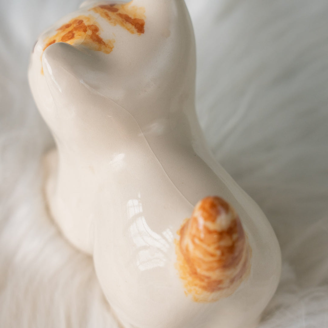 【Winstanley Cat ウィンスタンレイ キャット】クリームパンの様な手が愛らしい ジンジャー 茶トラ猫 /25L