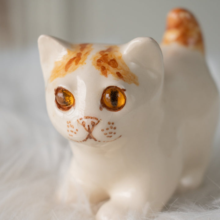 【Winstanley Cat ウィンスタンレイ キャット】クリームパンの様な手が愛らしい ジンジャー 茶トラ猫 /25L