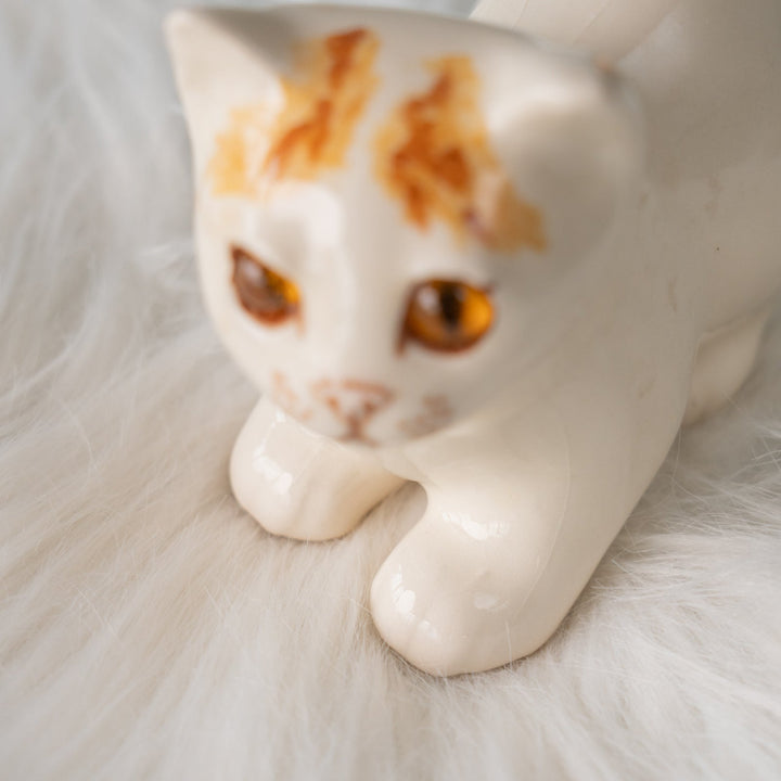 【Winstanley Cat ウィンスタンレイ キャット】クリームパンの様な手が愛らしい ジンジャー 茶トラ猫 /25L