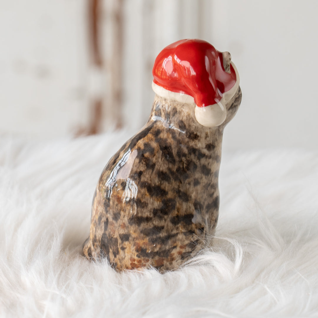 【Winstanley Cat ウィンスタンレイ キャット】サンタ帽を被った姿がチャーミング シルバータビー サバトラ猫 /25L