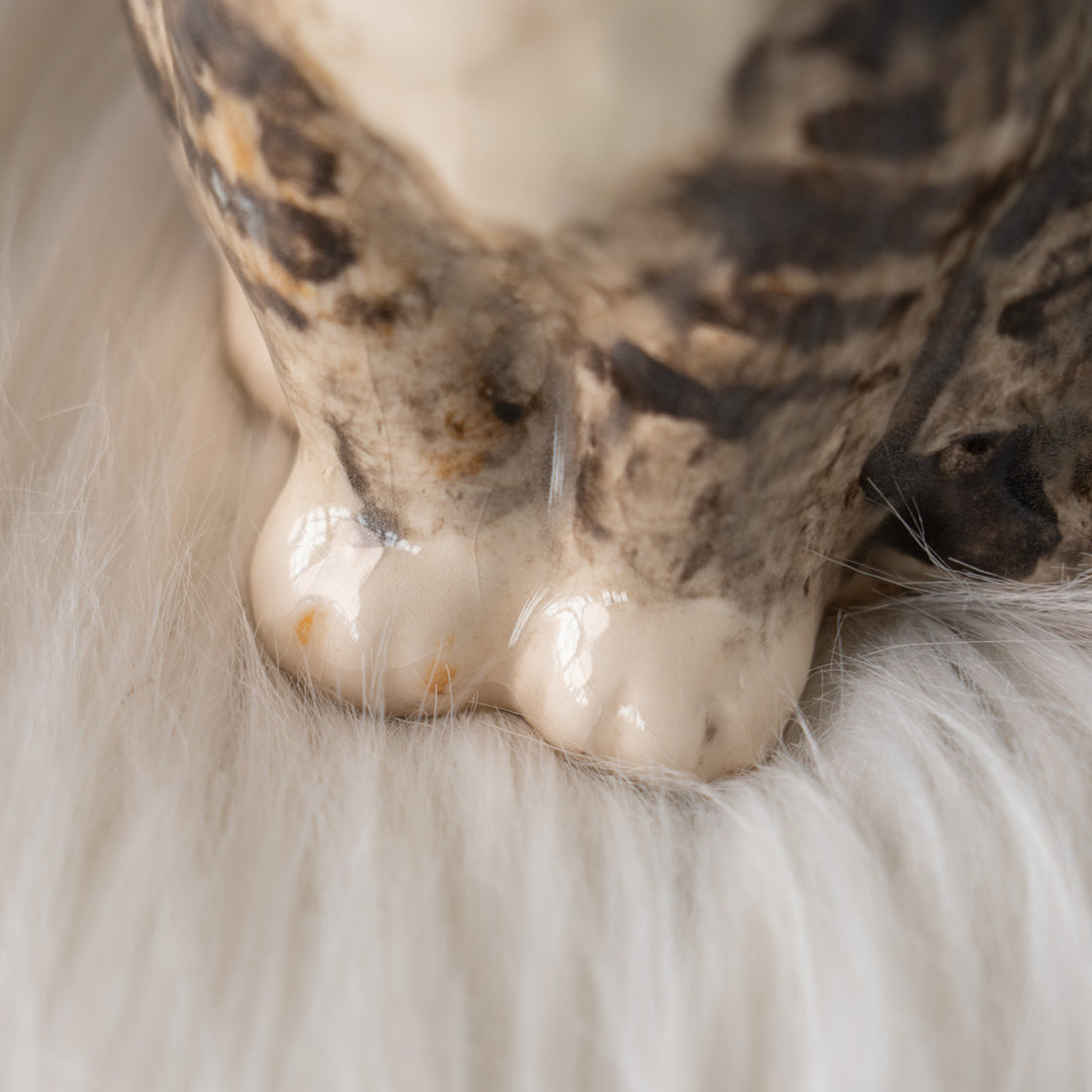 【Winstanley Cat ウィンスタンレイ キャット】サンタ帽を被った姿がチャーミング シルバータビー サバトラ猫 /25L