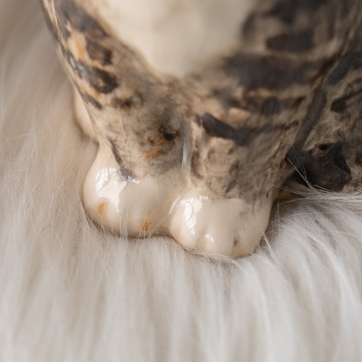 【Winstanley Cat ウィンスタンレイ キャット】サンタ帽を被った姿がチャーミング シルバータビー サバトラ猫 /25L