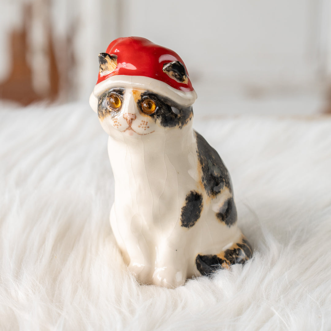 【Winstanley Cat ウィンスタンレイ キャット】サンタ帽を被った姿がチャーミング キャリコ 三毛猫 /25L