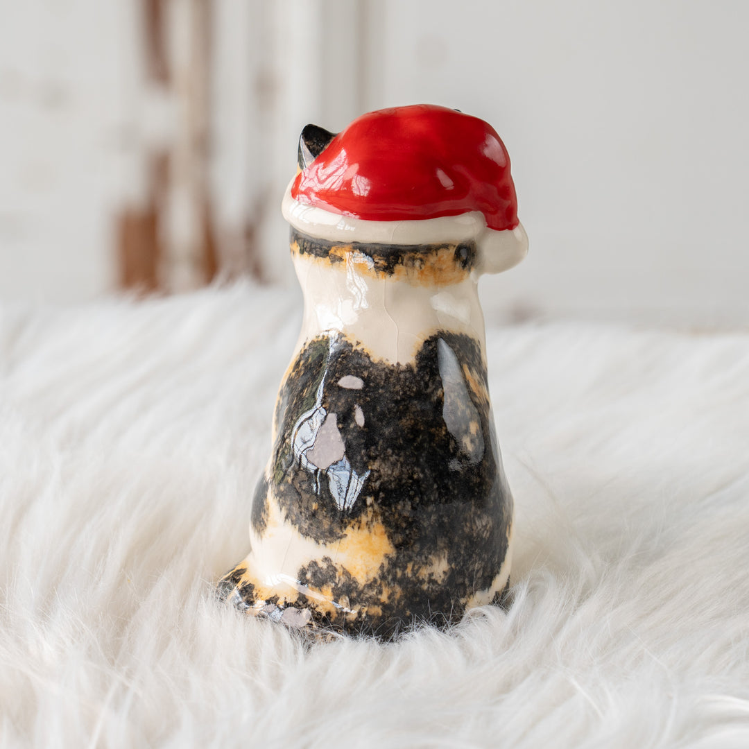 【Winstanley Cat ウィンスタンレイ キャット】サンタ帽を被った姿がチャーミング キャリコ 三毛猫 /25L