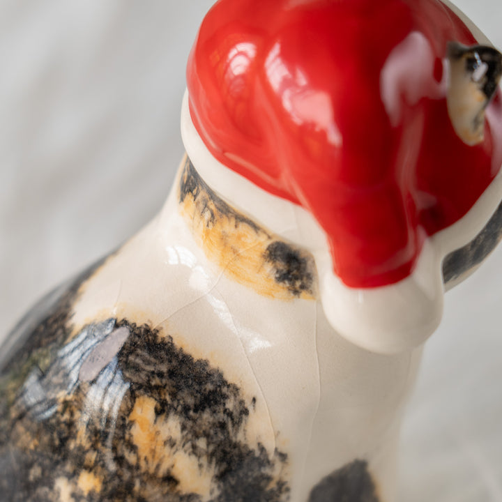 【Winstanley Cat ウィンスタンレイ キャット】サンタ帽を被った姿がチャーミング キャリコ 三毛猫 /25L