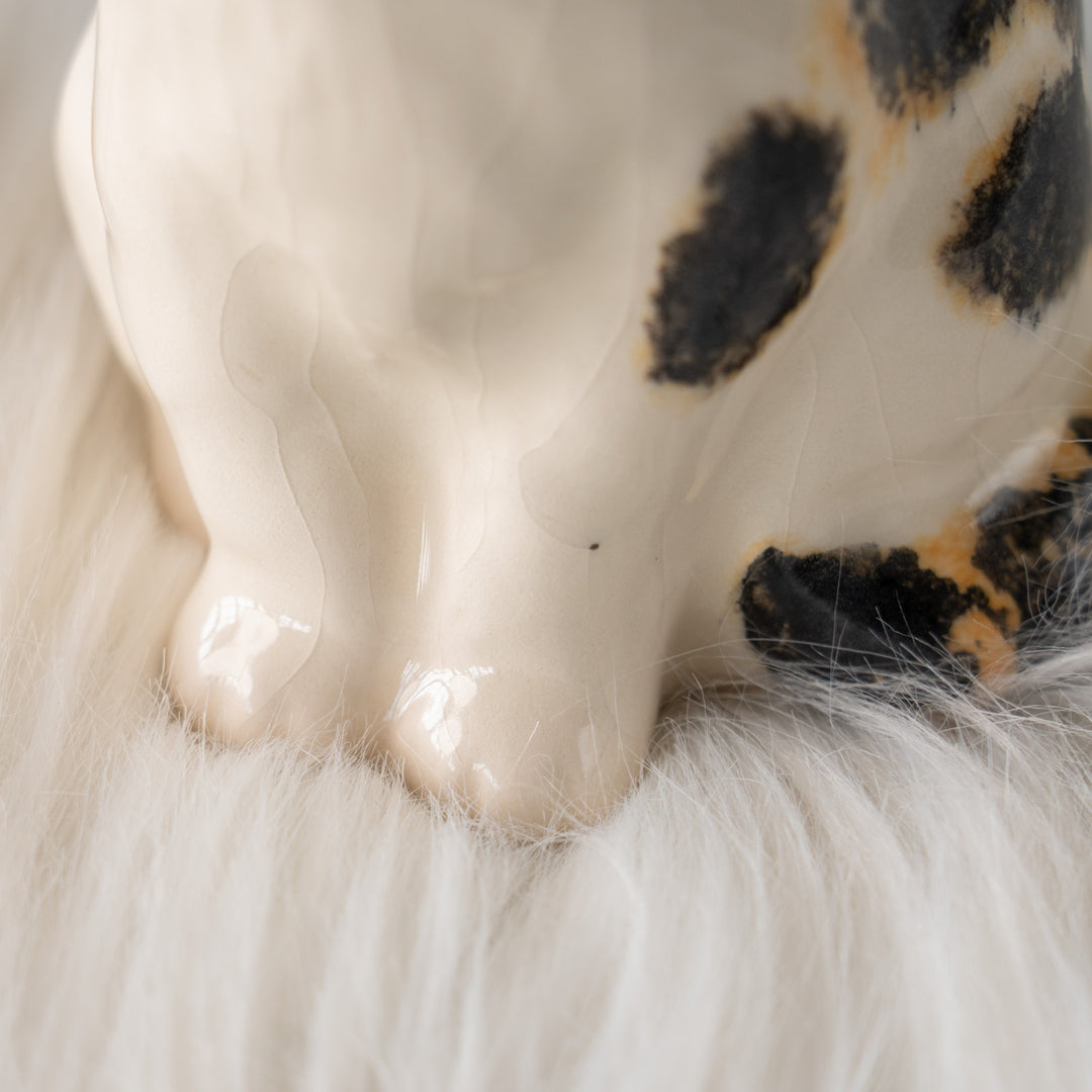 【Winstanley Cat ウィンスタンレイ キャット】サンタ帽を被った姿がチャーミング キャリコ 三毛猫 /25L