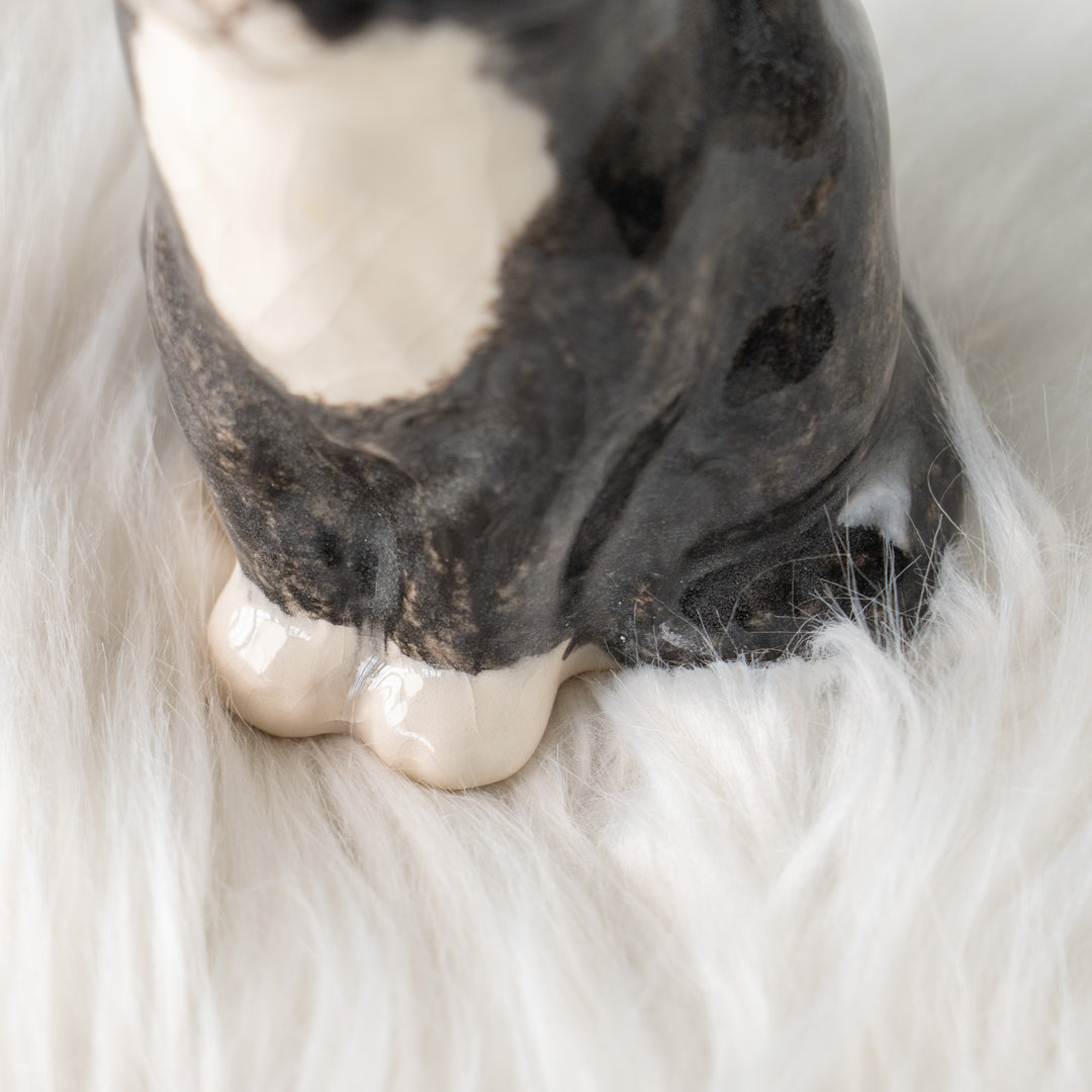 【Winstanley Cat ウィンスタンレイ キャット】サンタ帽を被った姿がチャーミング タキシード 白黒猫 /25L