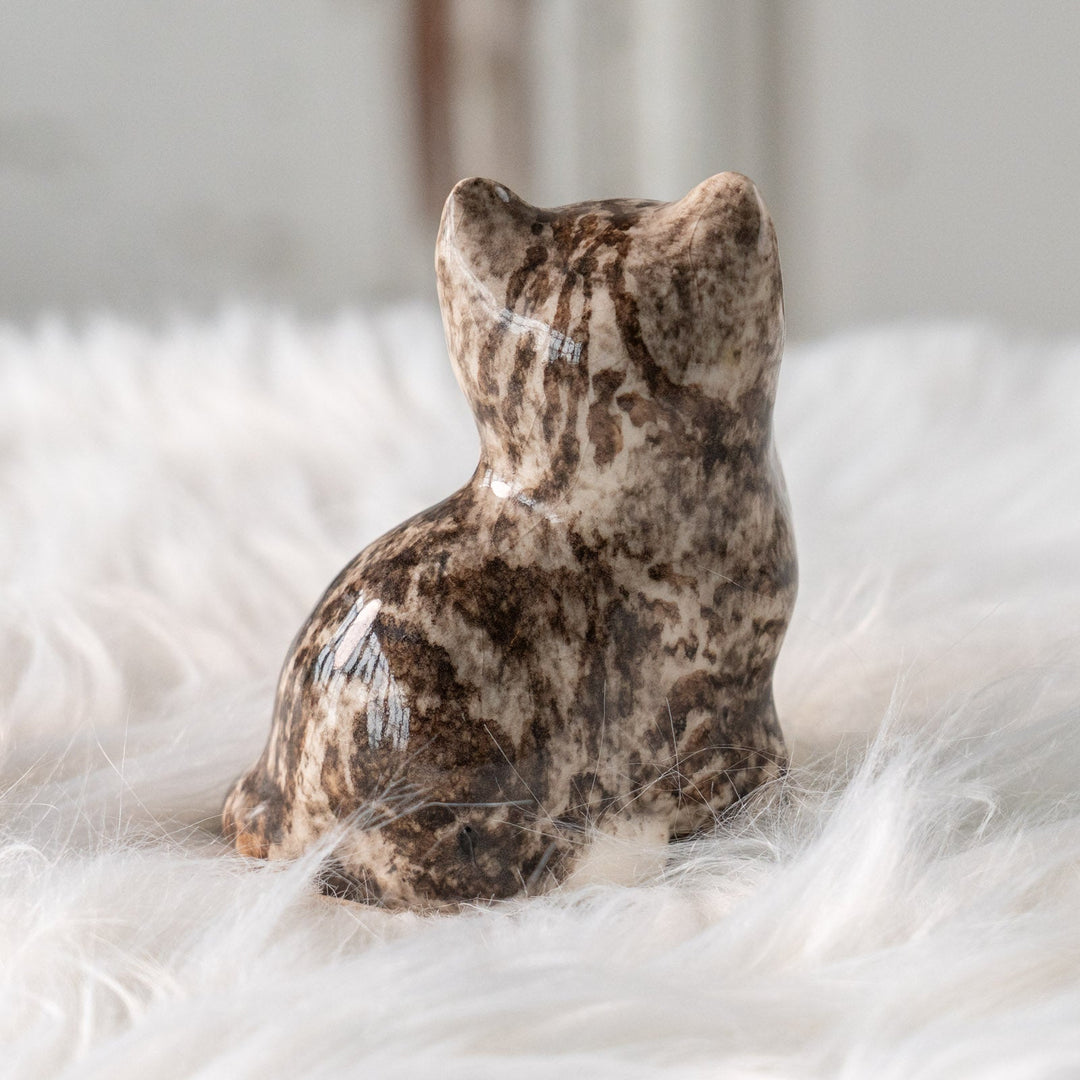 【Winstanley Cat ウィンスタンレイ キャット】片足出してちょこんと座ったキュートなフォルム シルバータビー サバトラ猫 /25L