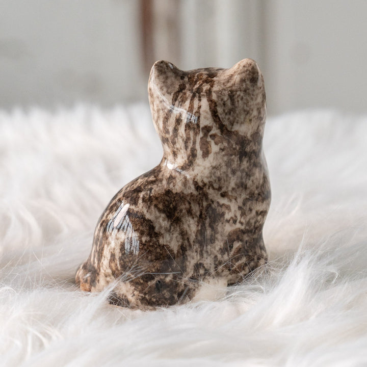 【Winstanley Cat ウィンスタンレイ キャット】片足出してちょこんと座ったキュートなフォルム シルバータビー サバトラ猫 /25L