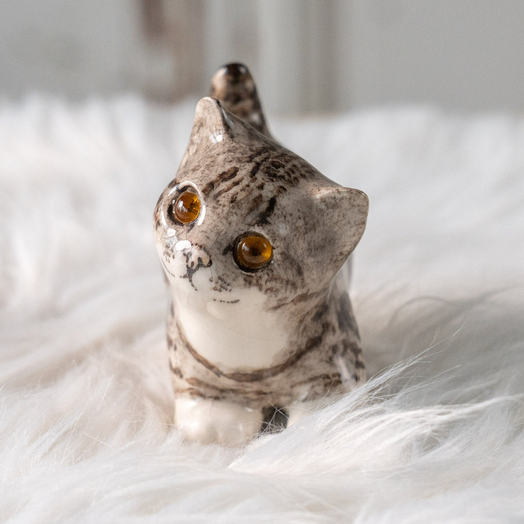 【Winstanley Cat ウィンスタンレイ キャット】ちらりと見上げるイタズラっぽい表情にときめく シルバータビー サバトラ猫 /25L