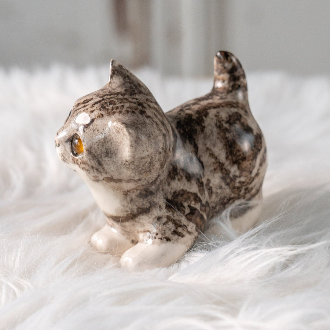 【Winstanley Cat ウィンスタンレイ キャット】ちらりと見上げるイタズラっぽい表情にときめく シルバータビー サバトラ猫 /25L