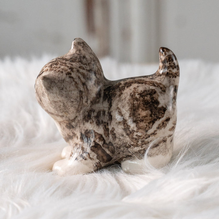 【Winstanley Cat ウィンスタンレイ キャット】ちらりと見上げるイタズラっぽい表情にときめく シルバータビー サバトラ猫 /25L